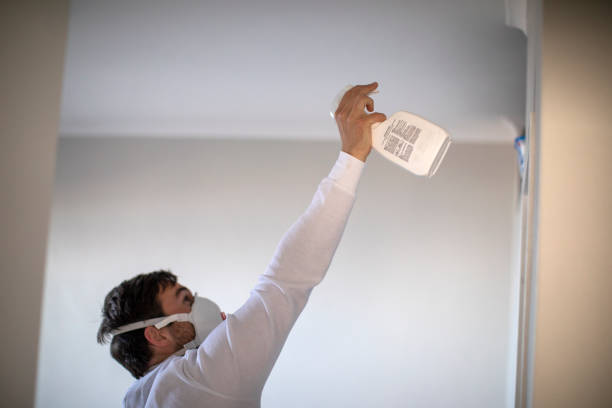 Best Mold Removal Company Near Me  in Fair Lakes, VA