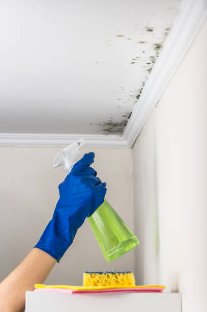 Best Water Damage Restoration  in Fair Lakes, VA